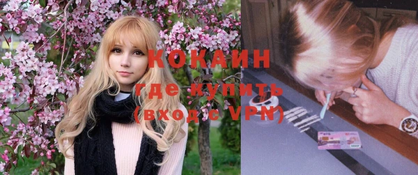 кокс Аша
