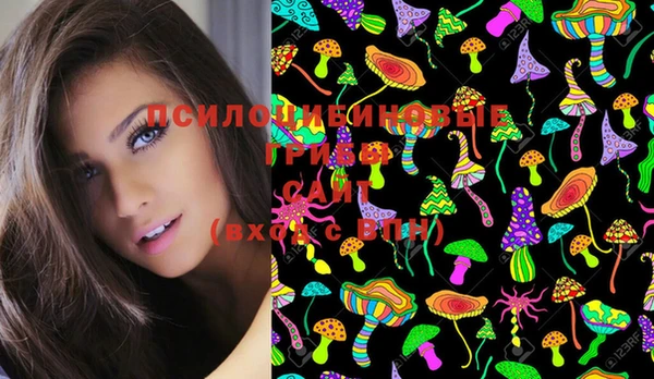 марки lsd Козельск